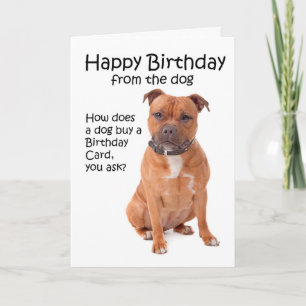 Staffordshire Bull Terrier Birthday Card Karte