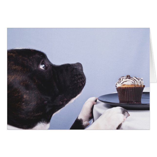 Staffordshire Bull Terrier & Cake Card (Vorderseite (Horizontal))
