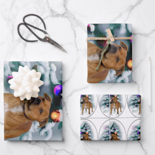 Staffordshire Bull Terrier Christmas Geschenkpapier Set