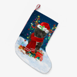 Staffordshire Bull Terrier dog mit Weihnachtsgesch Kleiner Weihnachtsstrumpf