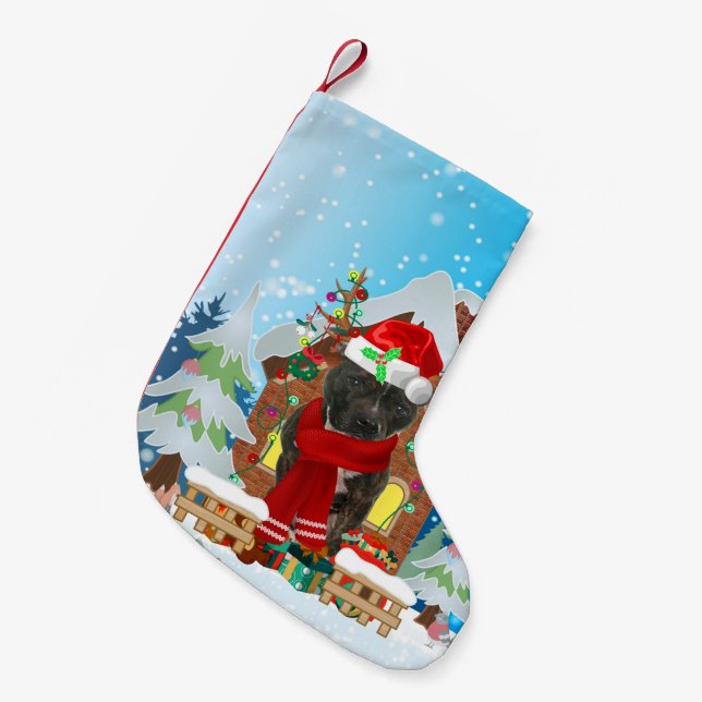 Staffordshire Bull Terrier dog mit Weihnachtsgesch Kleiner Weihnachtsstrumpf (Vorderansicht (hängend))