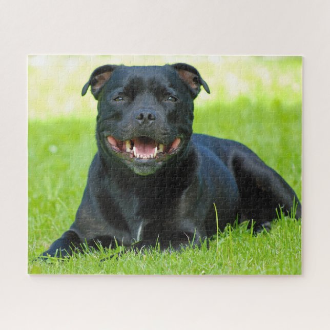 Staffordshire Bull Terrier Dog. Puzzle (Horizontal)