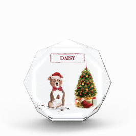 Staffordshire Bull Terrier Funny Christmas Dog Fotoblock