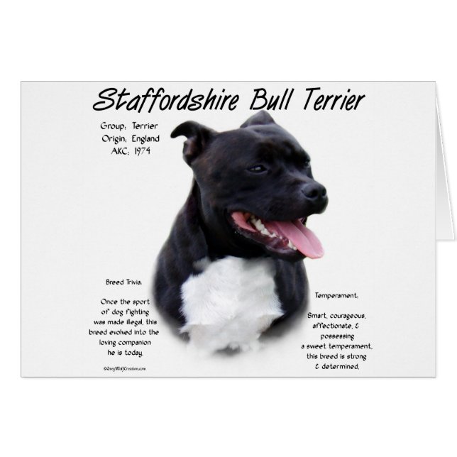 Staffordshire Bull Terrier History Design (Vorderseite (Horizontal))