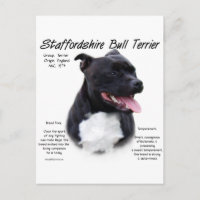 Staffordshire Bull Terrier History Design
