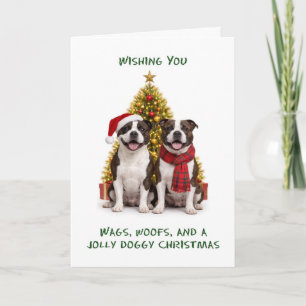 Staffordshire Bull Terrier Hunde Weihnachten