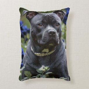 Staffordshire Bull Terrier in Blue Rose Garden, Dekokissen