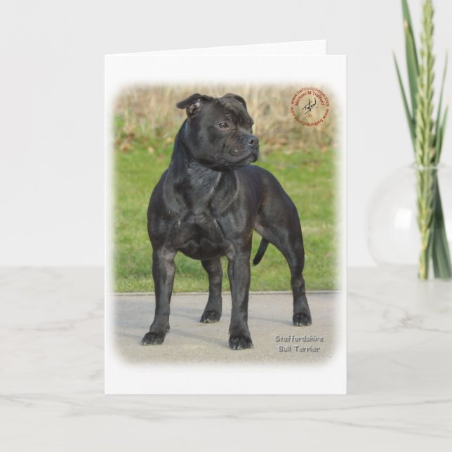 Staffordshire Bull Terrier Karte (Vorderseite)