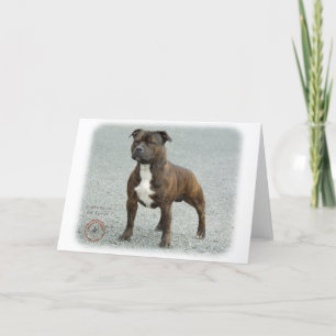 Staffordshire Bull Terrier Karte
