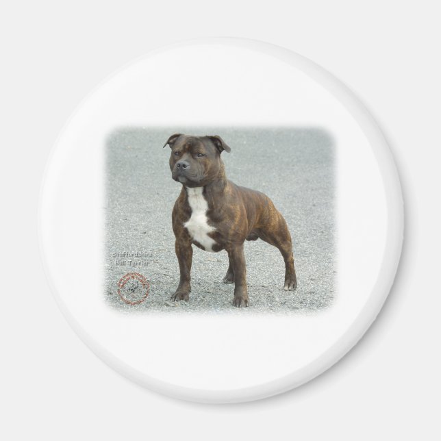 Staffordshire Bull Terrier Magnet (Vorne)