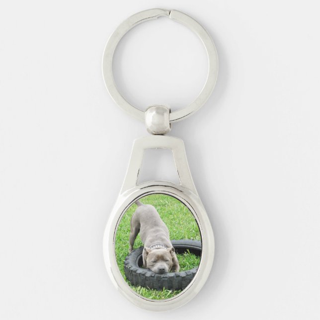 Staffordshire Bull Terrier, Oval Metal Keyring Schlüsselanhänger (Vorderseite)