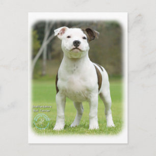 Staffordshire Bull Terrier Postkarte
