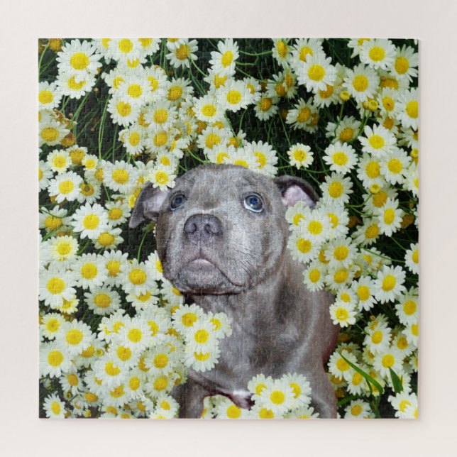 Staffordshire Bull Terrier Puppy in the Daisis, Puzzle (Vertikal)