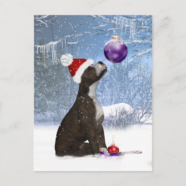 Staffordshire Bull Terrier Puppy - Postcard Winter Postkarte (Vorderseite)