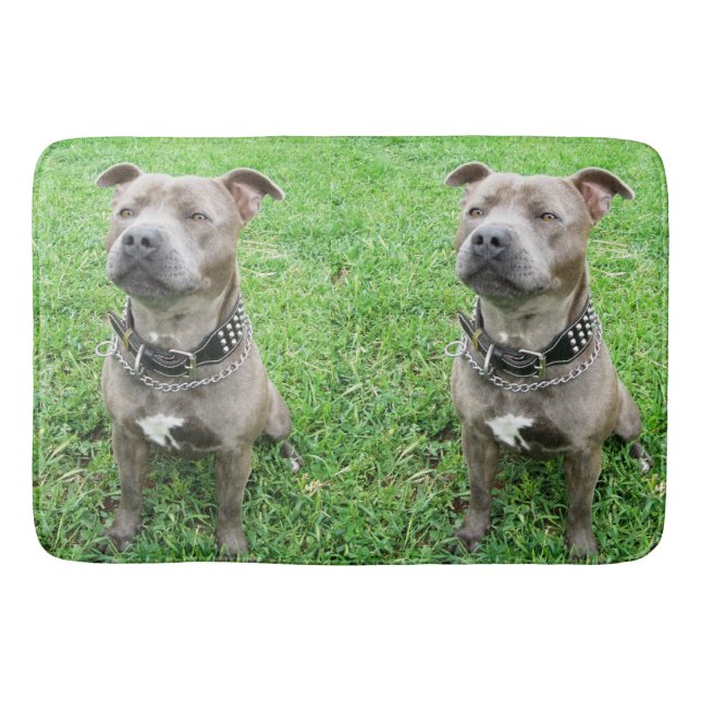 Staffordshire Bull Terrier Sitting At Achtung, Badematte (Vorderseite)
