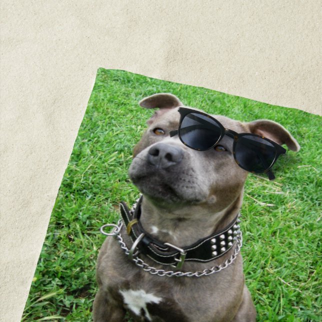 Staffordshire Bull Terrier Sitting At Achtung, Strandtuch (Beispiel)