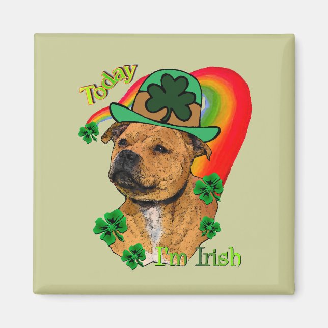 Staffordshire Bull Terrier St. Pat's Magnet (Vorne)