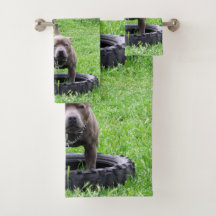 Staffordshire Bull Terrier Time to Play,