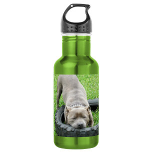 Staffordshire Bull Terrier Tire Chomp, Trinkflasche
