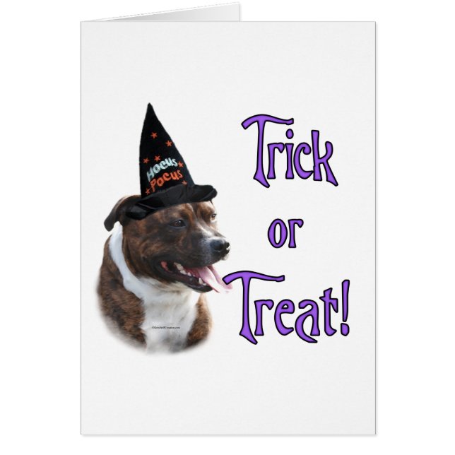 Staffordshire Bull Terrier Trick (Vorne)