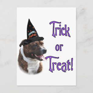 Staffordshire Bull Terrier Trick Postkarte