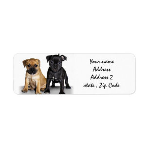 Staffordshire Bull Terrier Welpen adressieren Etik