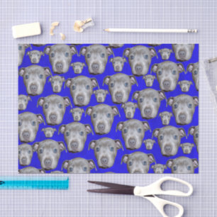 Staffordshire Bull Terrier Welpenmuster, Seidenpapier