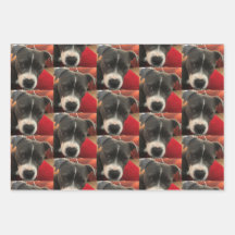 Staffordshire Bull Terrier Wrapping Paper