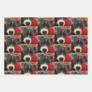 Staffordshire Bull Terrier Wrapping Paper Geschenkpapier Set