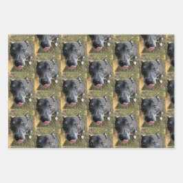 Staffordshire Bull Terrier Wrapping Paper Geschenkpapier Set