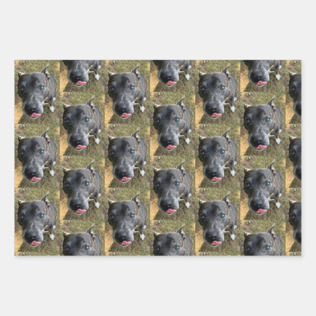 Staffordshire Bull Terrier Wrapping Paper Geschenkpapier Set (Vorderseite)