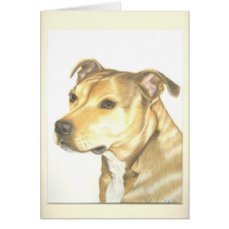 Staffordshire-Bullterrier