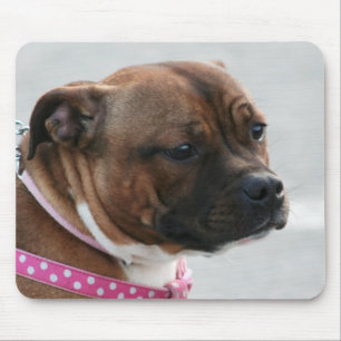 Staffordshire-Bullterrier mousepad