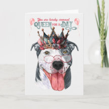 Staffordshire Dog Queen for a Day Funny Birthday