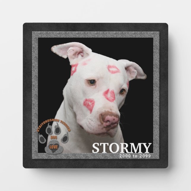 Staffordshire Terrier Dog Breed Memorial Fotoplatte (Vorderseite)