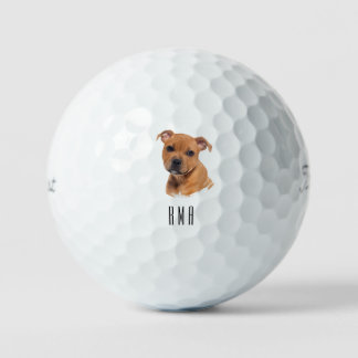 Staffordshire-Terrier Golfball