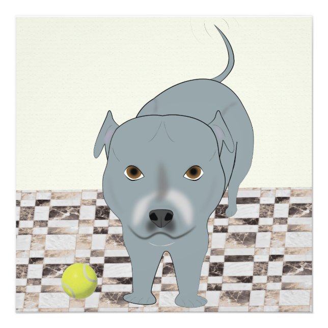 Staffy 24x24 Print Fotodruck (Vorne)