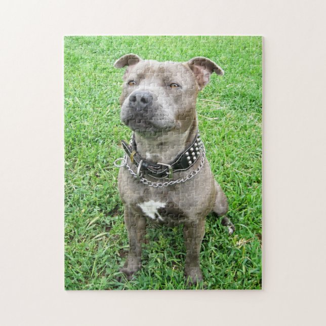 Staffy At Achtung, Jigsaw Puzzle (Vertikal)