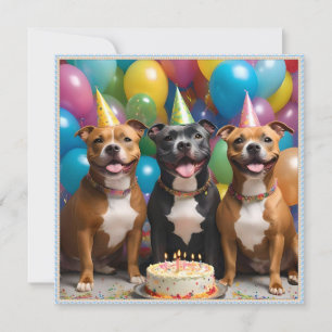 Staffy Celebration: Eine Geburtstagsparty mit Kuch Einladung