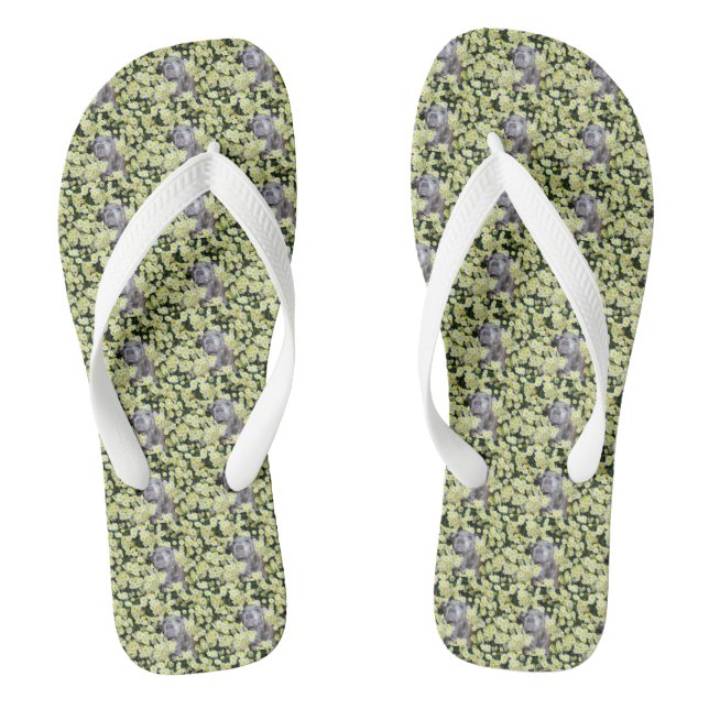 Staffy in the Daisise, Flip Flops (Fußbett)