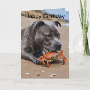 Staffy ist befreundet mit einer Strandkrabbe, Gebu Karte