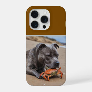 Staffy ist mit einer Strandkrabbe befreundet, iPhone 15 Pro Hülle