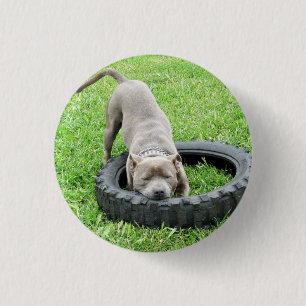 Staffy Play Time, Button Abzeichen.