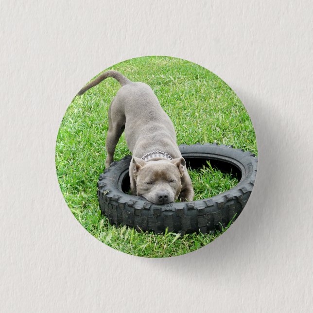 Staffy Play Time, Button Abzeichen. (Vorderseite)