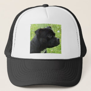 staffy.png truckerkappe
