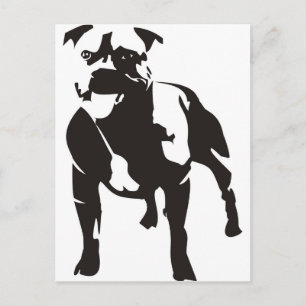 Staffy Postkarte