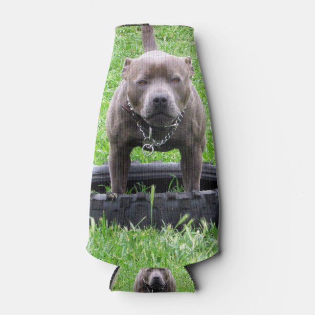 Staffy ready to play, flaschenkühler (Vorderseite)