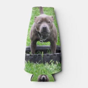 Staffy ready to play, flaschenkühler