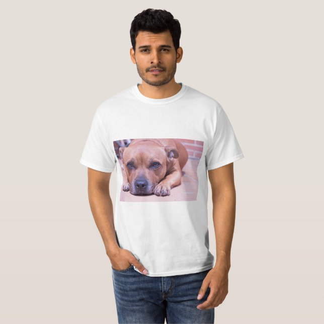 Staffy Shirt (Vorne ganz)