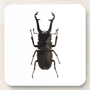 Stag Beetle Getränkeuntersetzer
